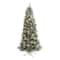 7ft. Pre-Lit Frosted Tip British Columbia Mountain Pine & Pinecones Artificial Christmas Tree with Clear Lights
